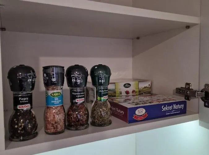 68 - - Nowy W Centrum Przy Ul. 3 Maja 51a * 谢德尔采